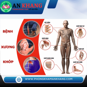 Cơ xương khớp